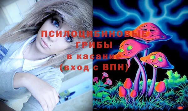 МДПВ Алзамай