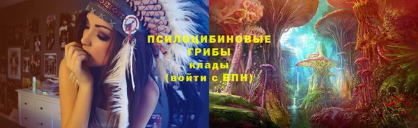МДПВ Алзамай