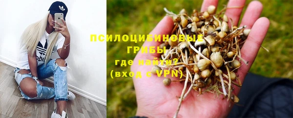 мяу мяу мука Абаза
