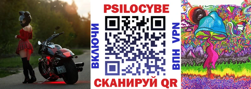 blacksprut маркетплейс Сухиничи Галлюциногенные грибы Psilocybe